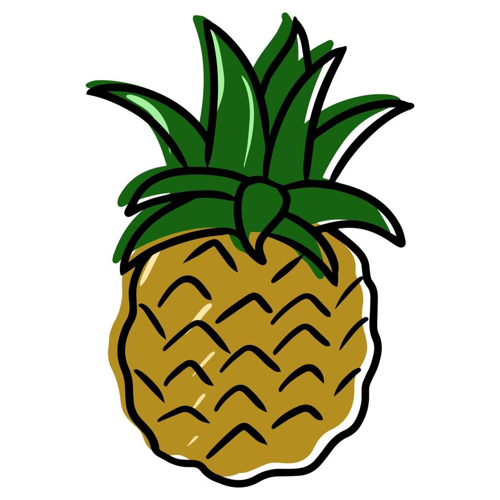 fruit d'ananas, fruit exotique pour la conception d'emballages de fruits, papier peint et présentation, illustration vectorielle sur fond blanc vecteur