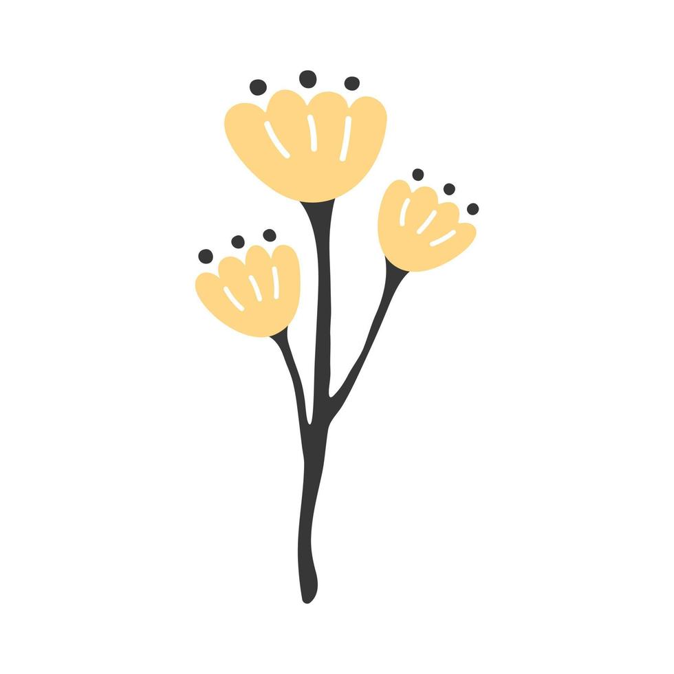 fleur isolée de vecteur jaune. illustration en fleurs d'une plante de printemps