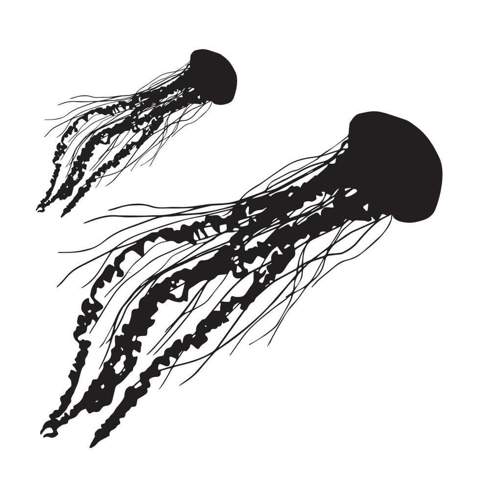 art de silhouette de méduse vecteur
