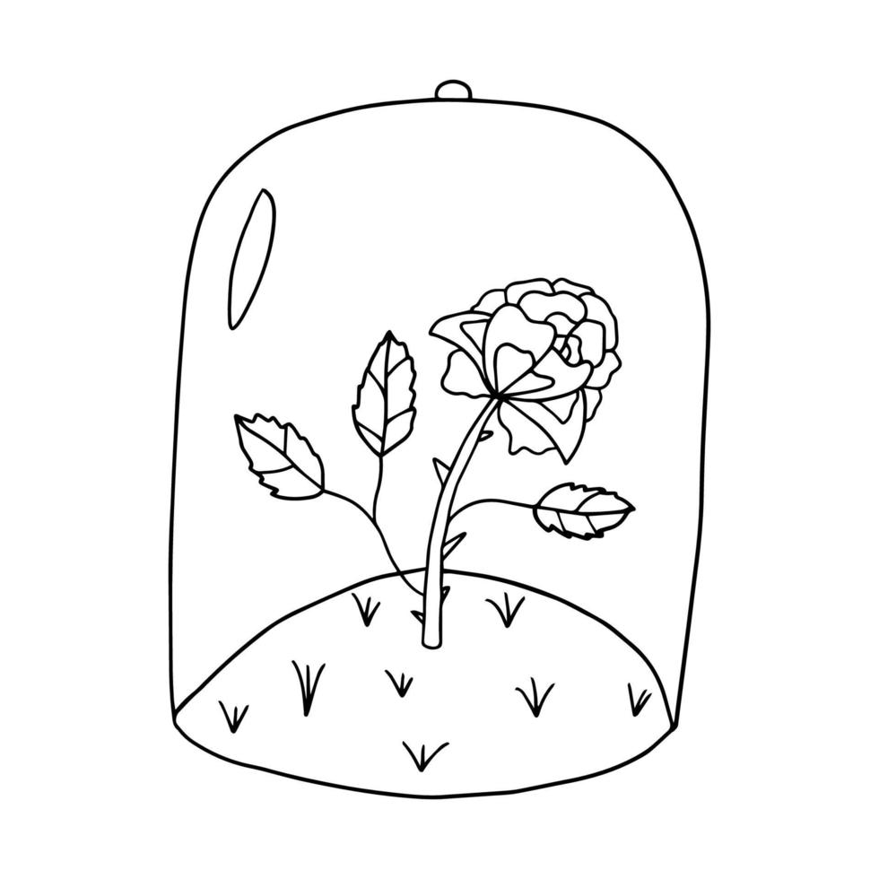 dessin animé doodle rose linéaire, fleur sous un bocal en verre isolé sur fond blanc. vecteur