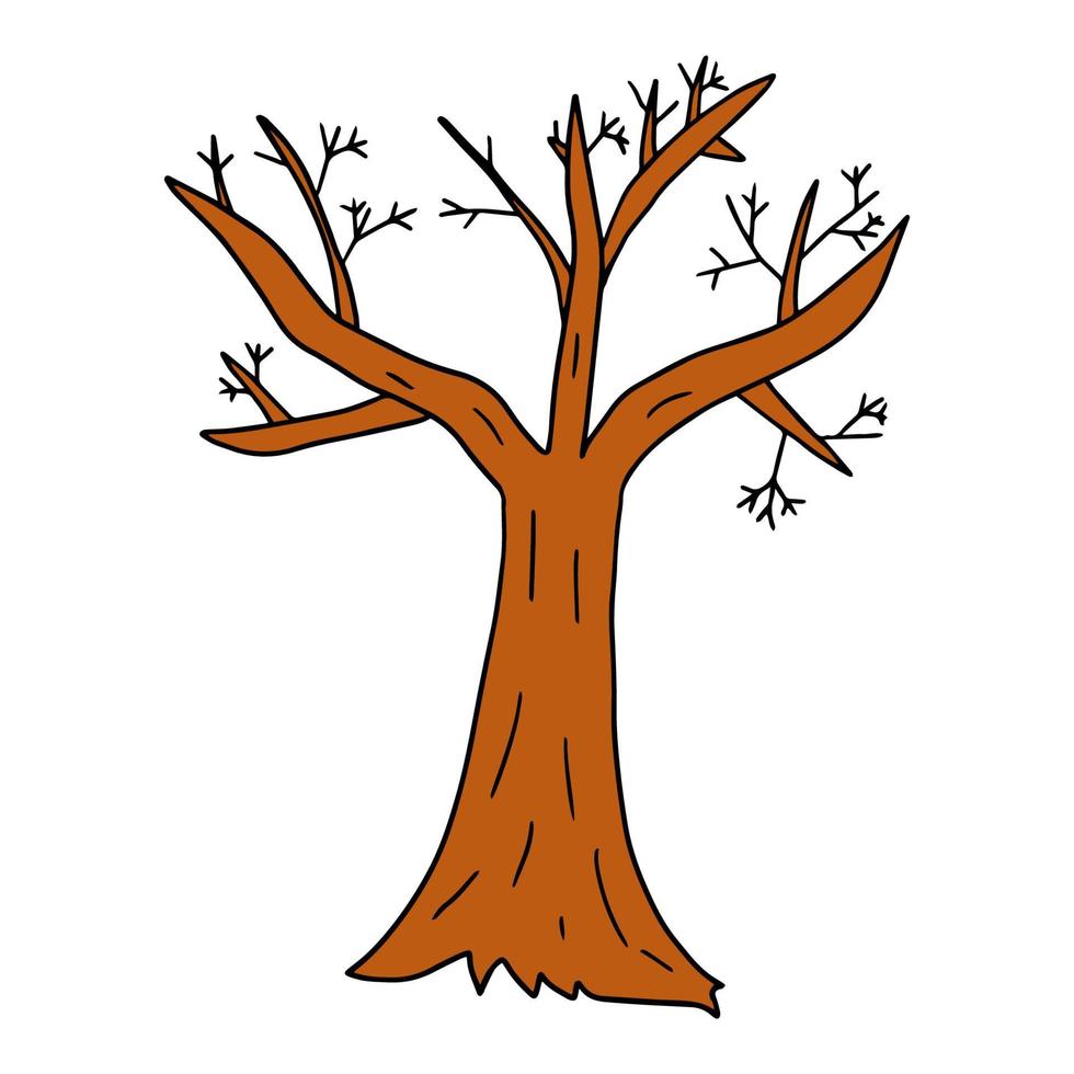 dessin animé arbre d'hiver nu dans un style doodle isolé sur fond blanc. plante d'automne. vecteur