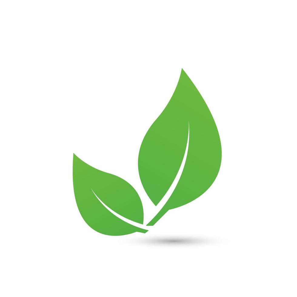 un logo de conception de la nature de l'écologie de la feuille verte, icône de feuilles vertes, élément, modèle de vecteur d'objet, illustration de style de logo de feuille verte