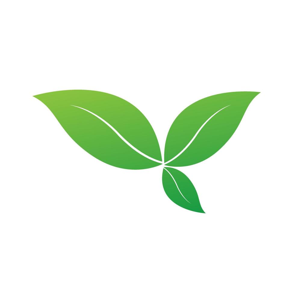 un joli logo de feuilles vertes, un motif frais naturel, des feuilles vertes sur bg blanc, un style d'icônes de nature verte. et objet vert géométrique. vecteur, illustration. vecteur