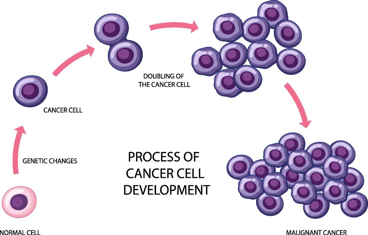 processus de développement des cellules cancéreuses vecteur