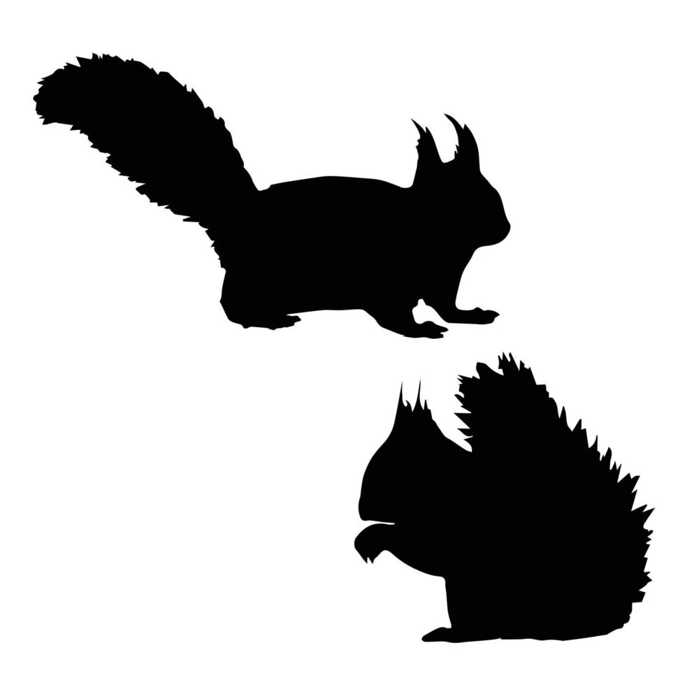art de la silhouette de l'écureuil vecteur