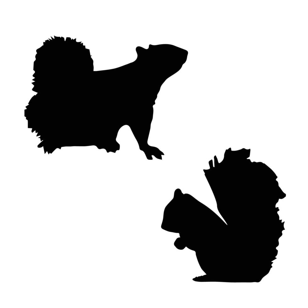 art de la silhouette de l'écureuil vecteur