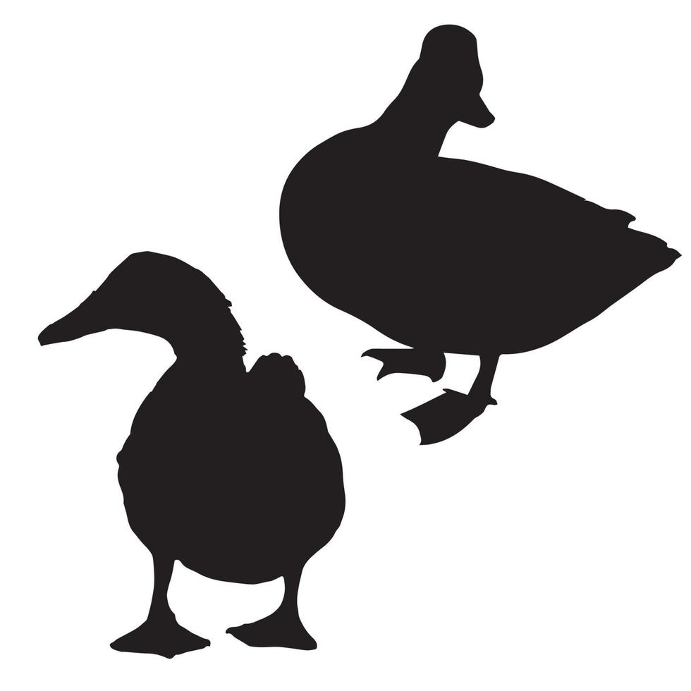 silhouette de canard vecteur