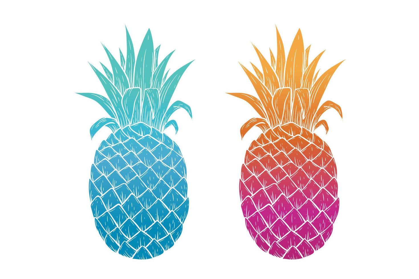 ananas coloré avec style dessiné à la main vecteur