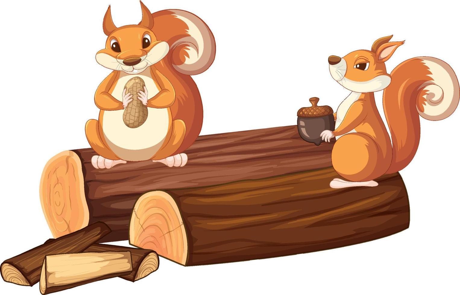 dessin animé animal écureuil mignon vecteur