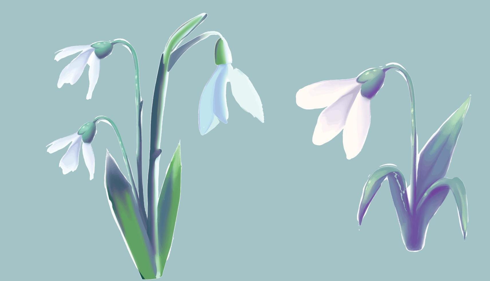 ensemble de fleurs de perce-neige, première fleur épanouie au printemps, graphiques vectoriels vecteur