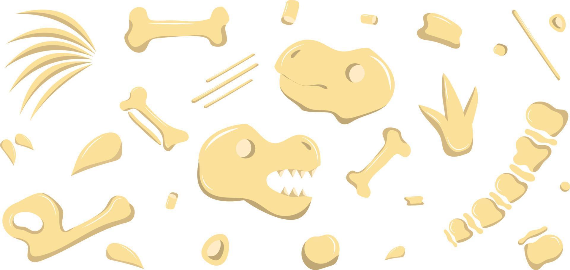 les os de dinosaures sont décomposés en plusieurs parties vecteur