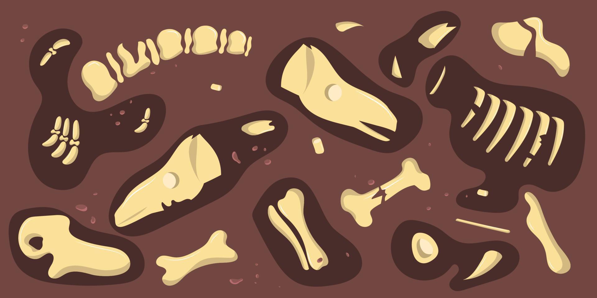 les os de dinosaures sont décomposés en plusieurs parties vecteur