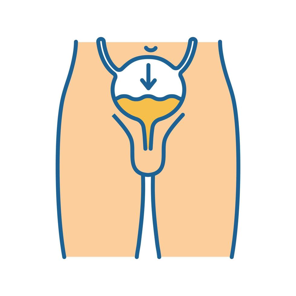 icône de couleur d'incontinence urinaire. miction involontaire. énurésie. fuite d'urine. effets secondaires du traitement du cancer de la prostate. maladie des hommes. illustration vectorielle isolée vecteur