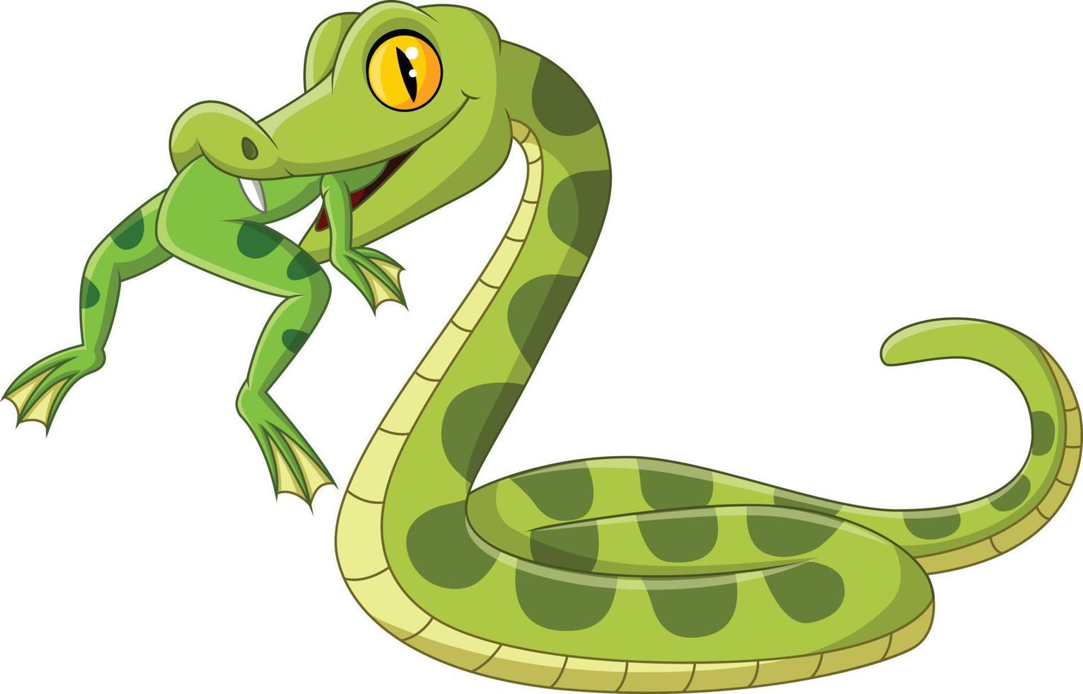 dessin animé serpent vert mangeant une grenouille vecteur