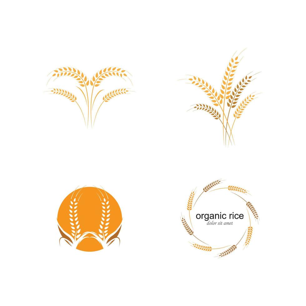 modèle de logo de blé agricole vecteur