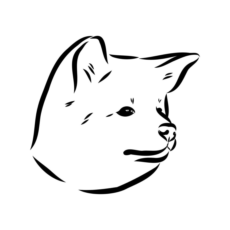 croquis de vecteur de chien akita inu