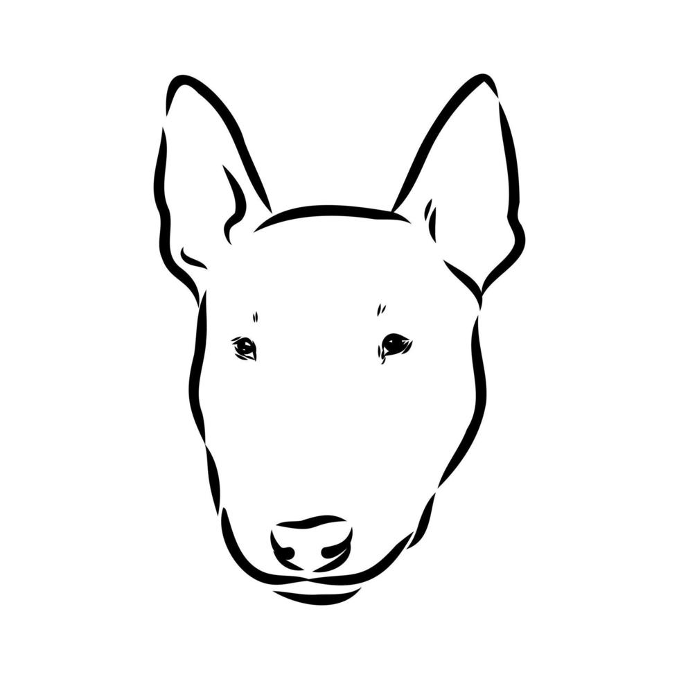 croquis de vecteur de bull-terrier