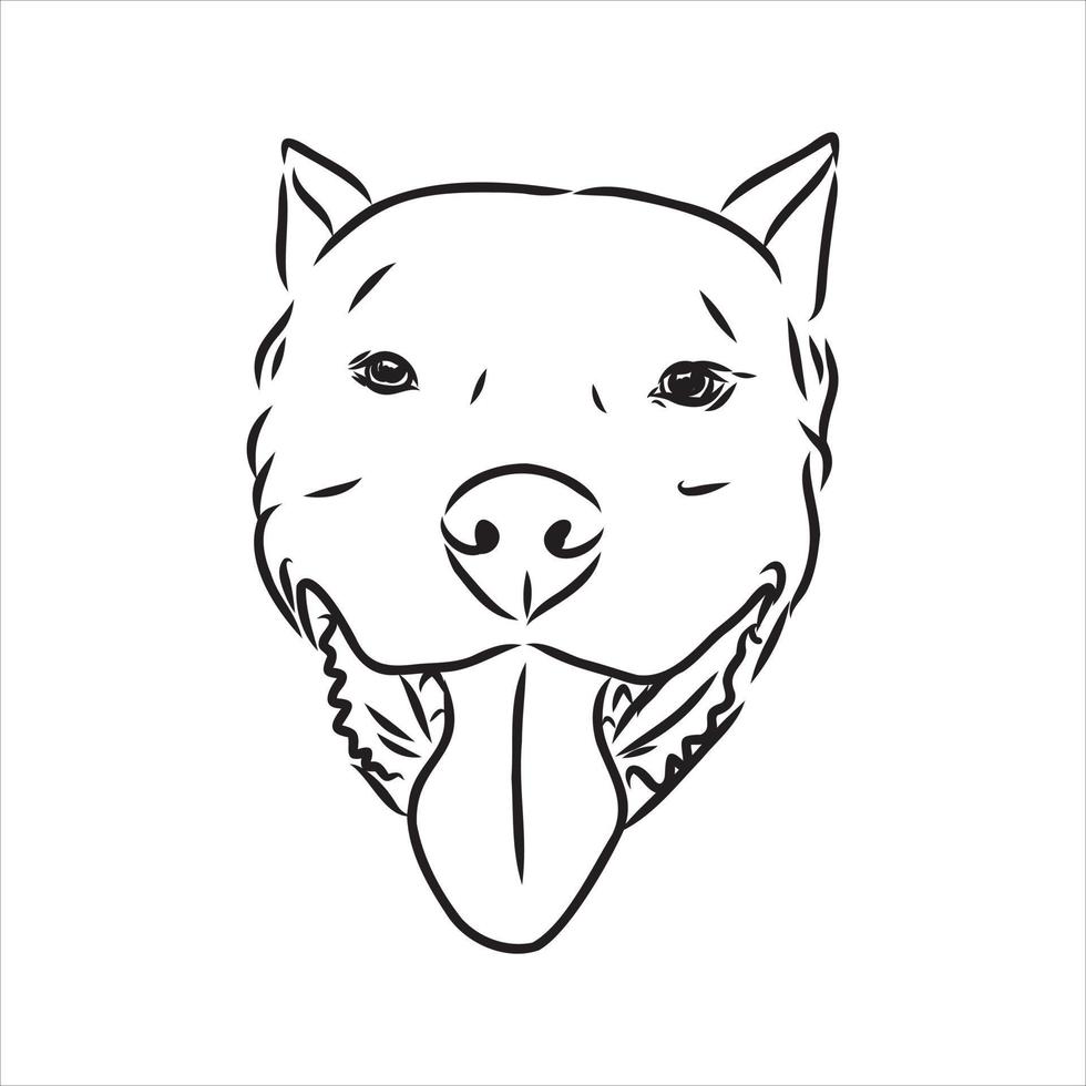 croquis de vecteur de pit-bull terrier