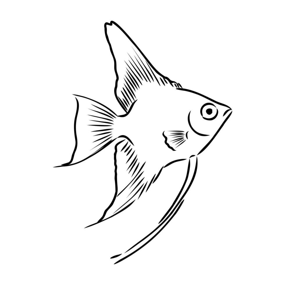 croquis de vecteur de poisson d'aquarium