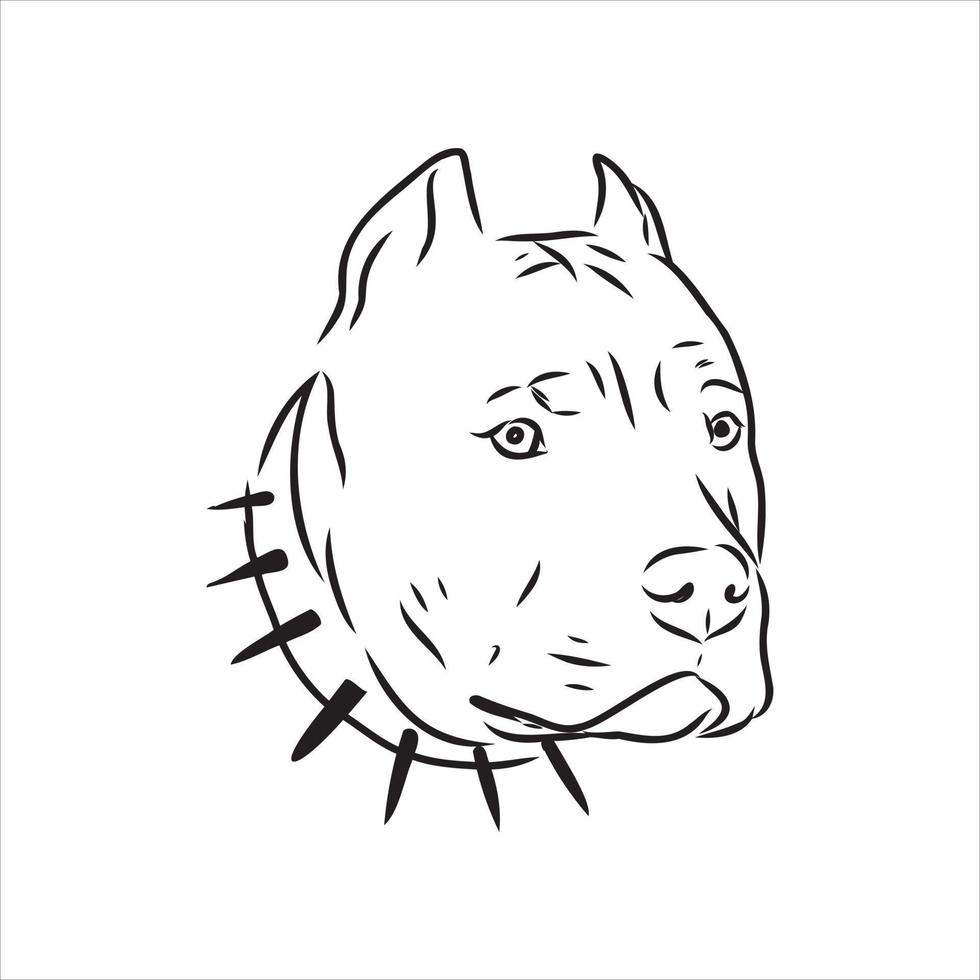croquis de vecteur de pit-bull terrier
