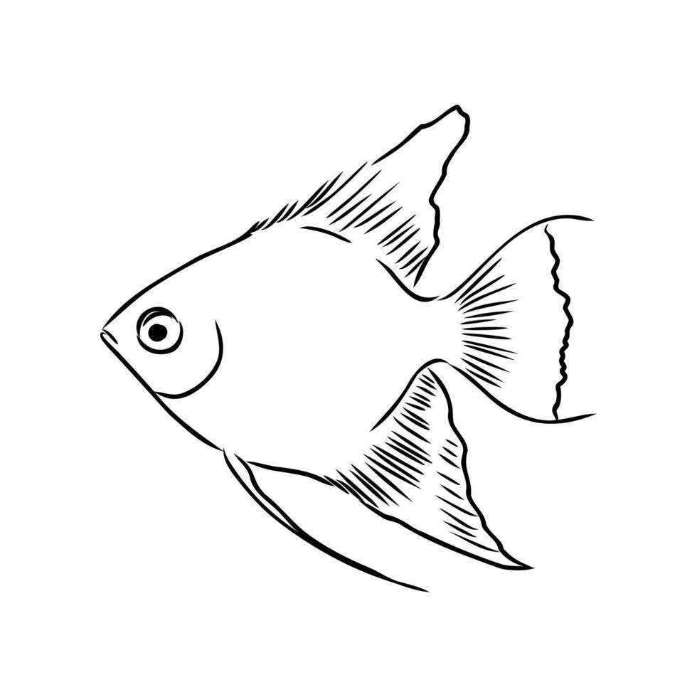 croquis de vecteur de poisson d'aquarium