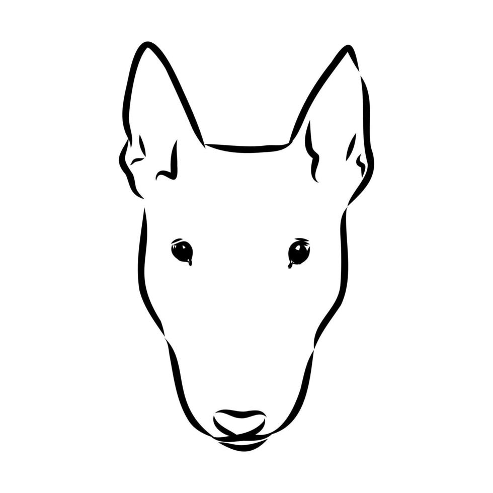 croquis de vecteur de bull-terrier