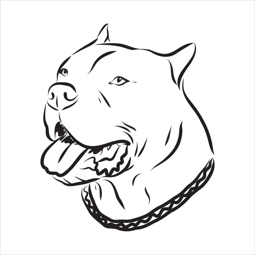 croquis de vecteur de pit-bull terrier