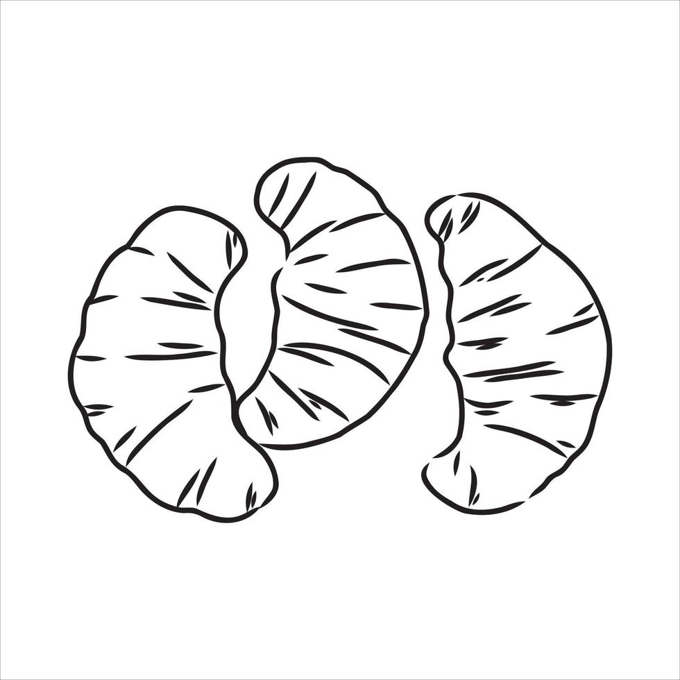 croquis de vecteur de croissant