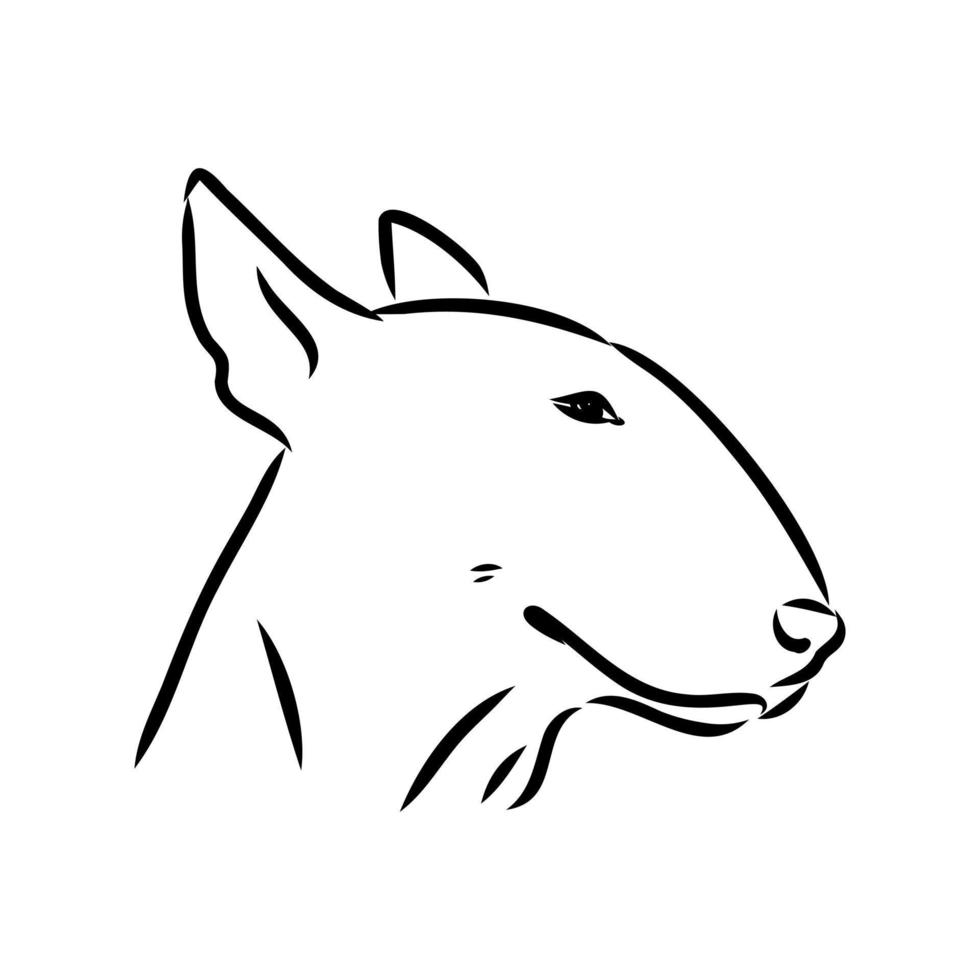 croquis de vecteur de bull-terrier