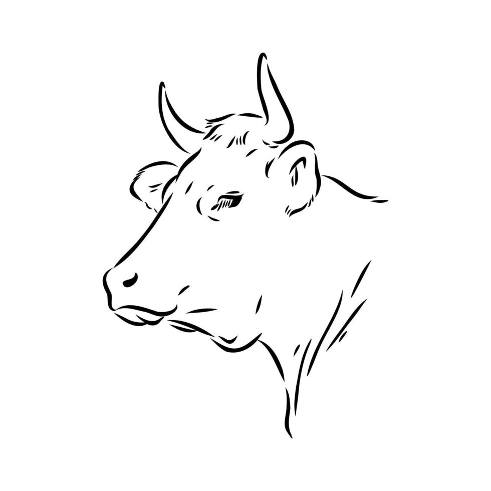 croquis de vecteur de vache