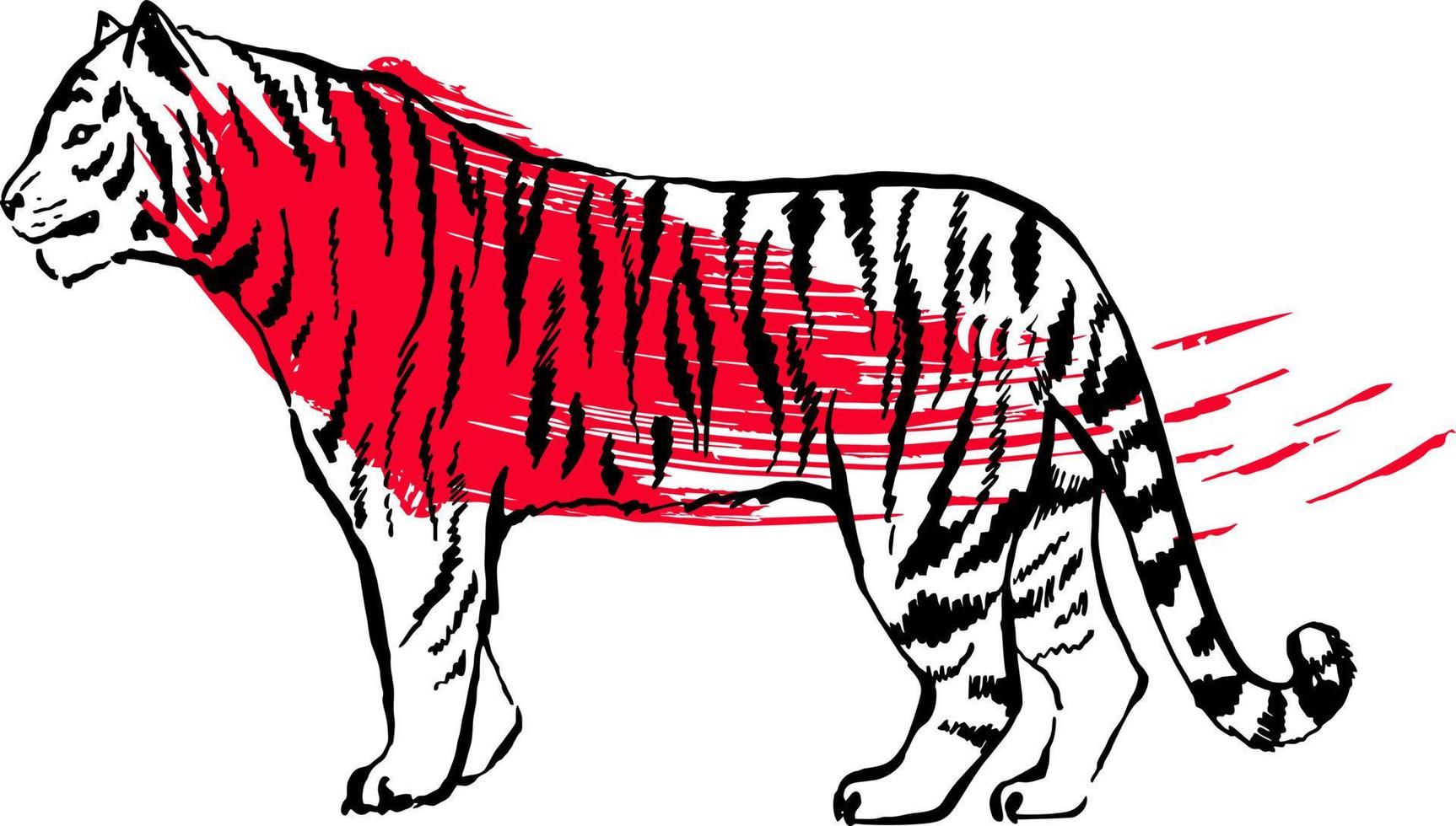 illustration vectorielle d'un tigre dans le style traditionnel de calligraphie à l'encre asiatique. nouvelle année lunaire. croquis à l'encre de tigre chinois. isolée vecteur