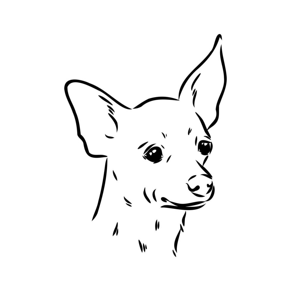 croquis de vecteur de terrier de jouet