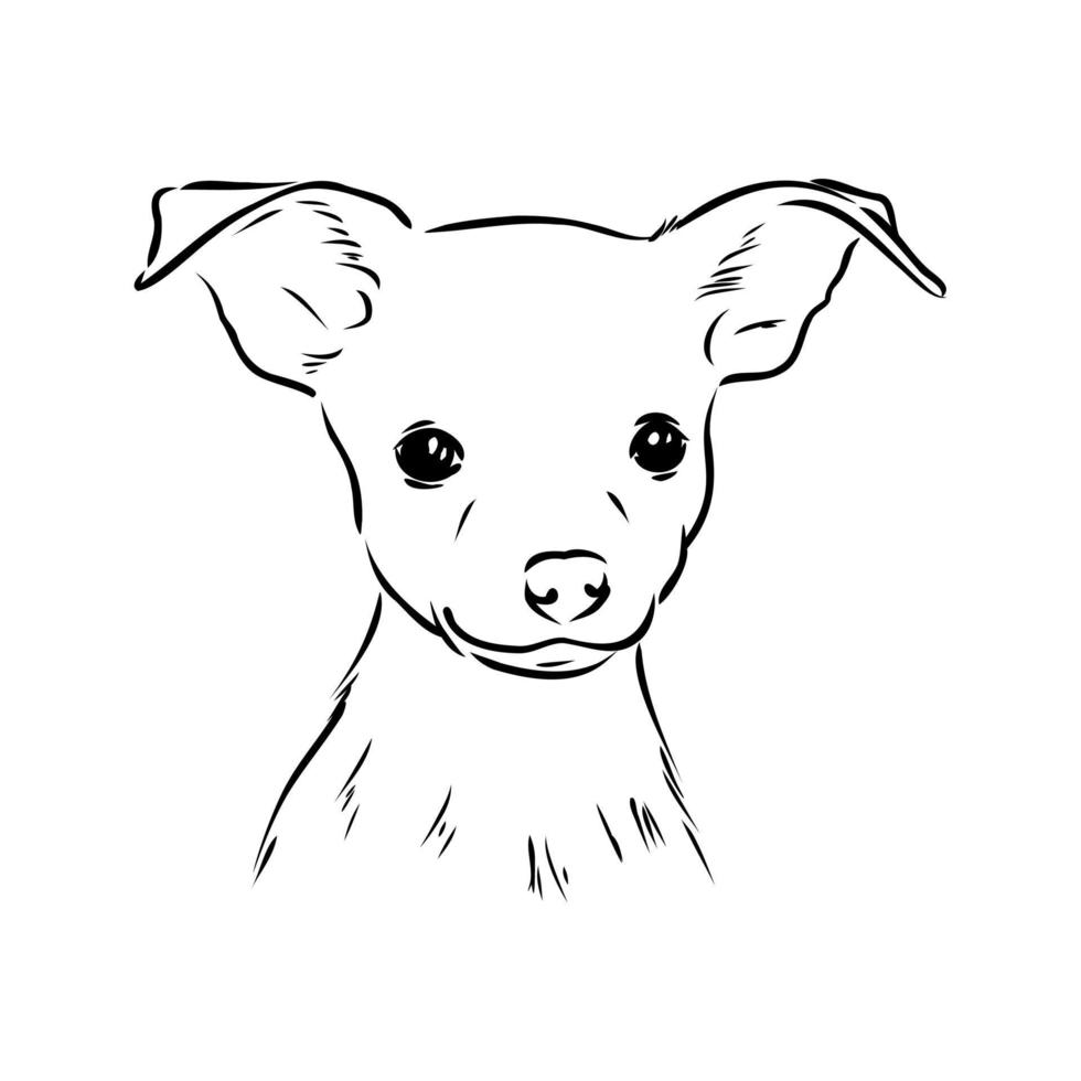 croquis de vecteur de terrier de jouet