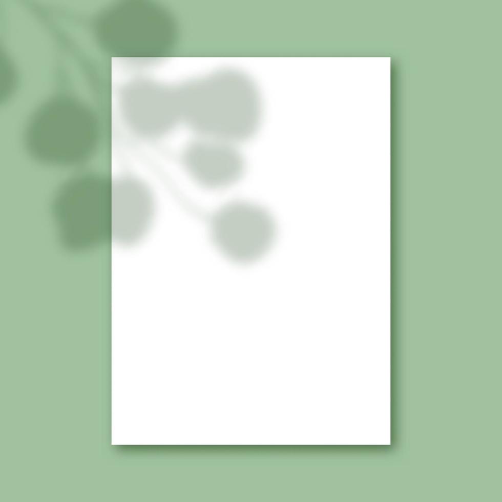 ombre végétale sur fond de papier blanc vierge vecteur