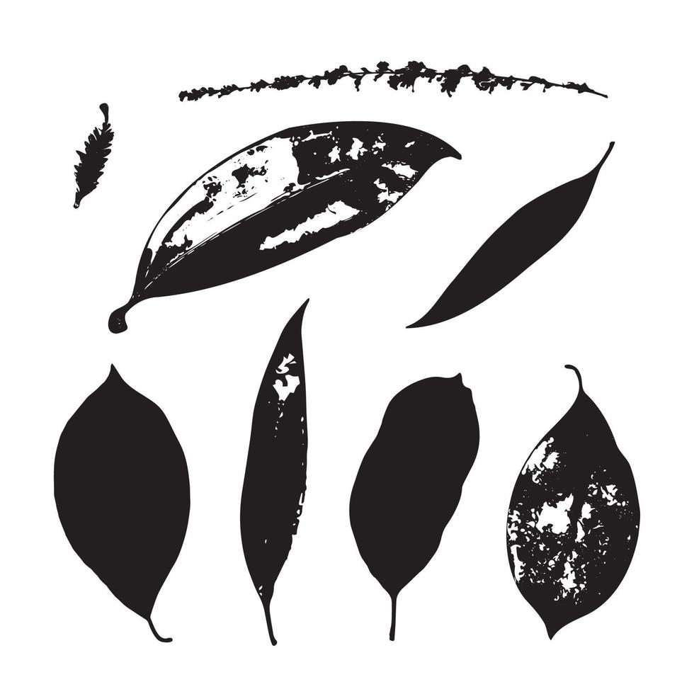 ensemble de feuilles tropicales. silhouette. illustration vectorielle de feuille noire vecteur