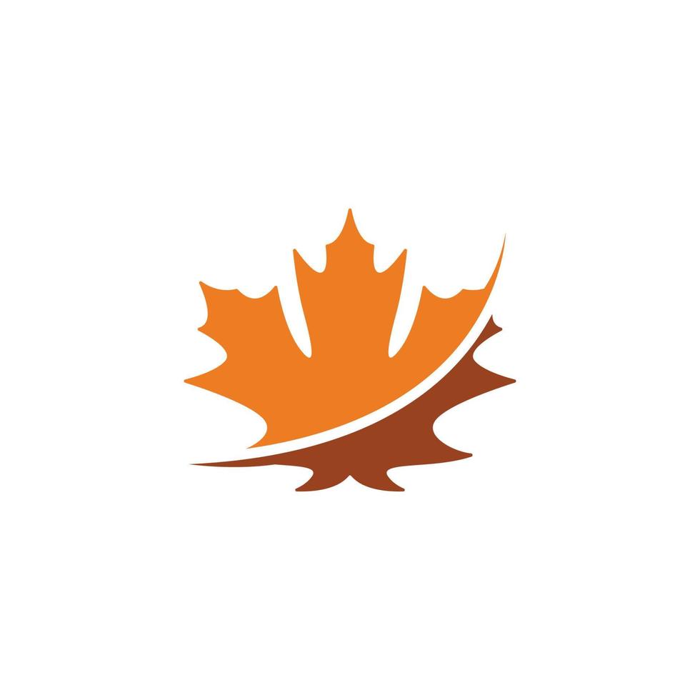 feuille d'érable logo icône design template vecteur