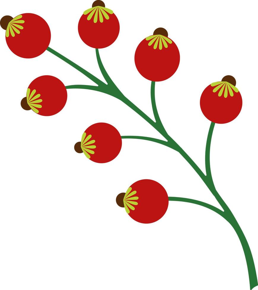 illustration de baies rouges abstraites sur fond blanc. fleurs stylisées vectorielles en style cartoon.illustration vectorielle pour les salutations, les mariages, la conception de fleurs. vecteur