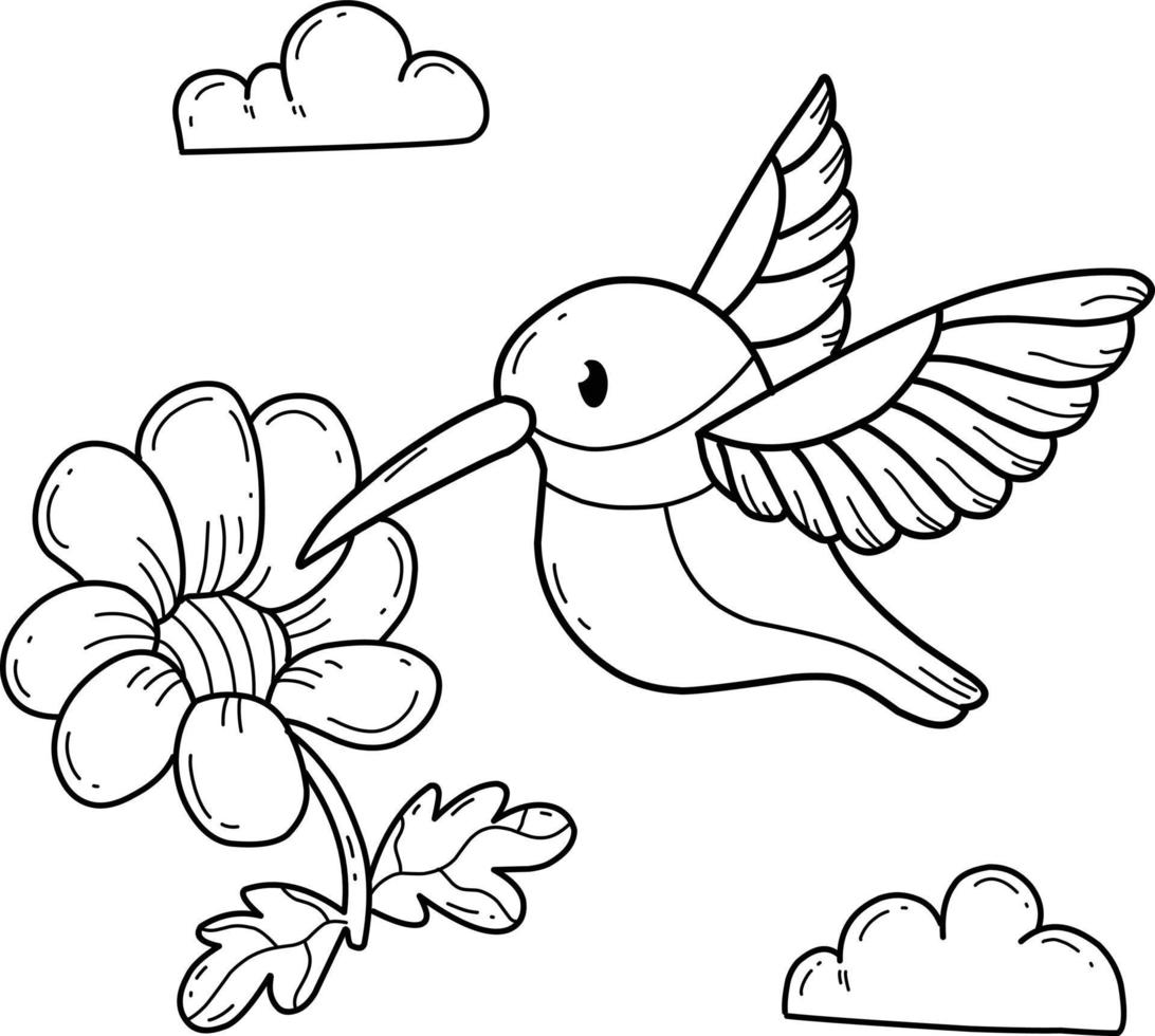 alphabet de livre de coloriage d'animaux. isolé sur fond blanc. colibri de dessin animé de vecteur. vecteur