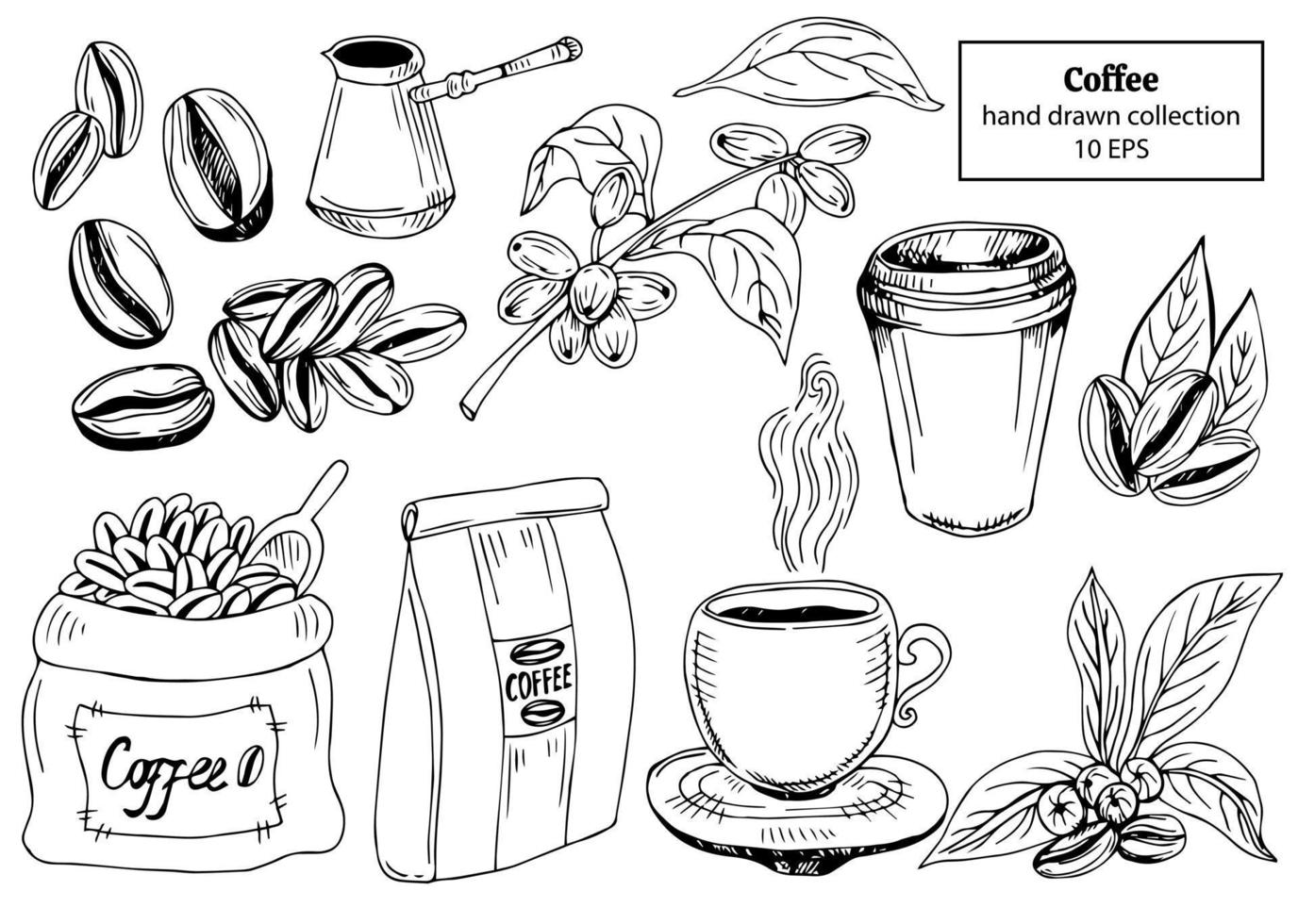 illustration de tasses à café, de haricots et de caféier. design vintage pour le café. illustration mathématique gravée. vecteur