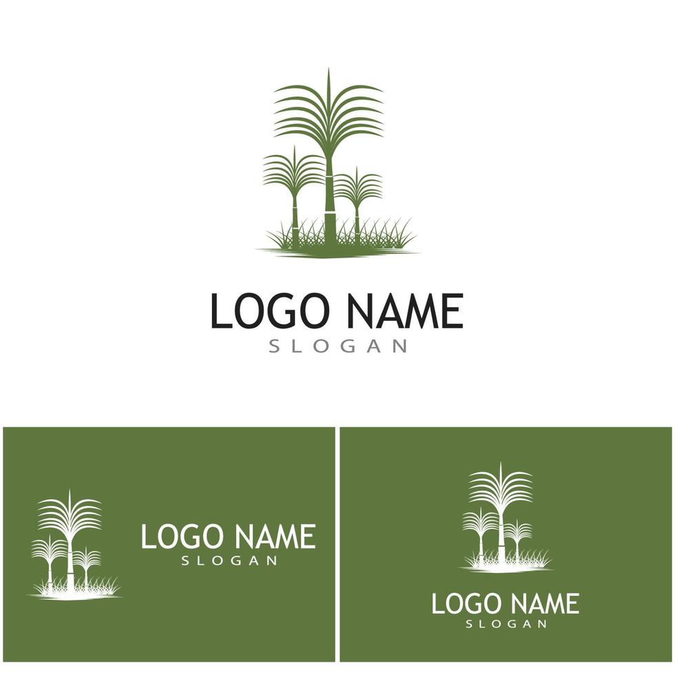 canne à sucre logo modèle vecteur symbole nature