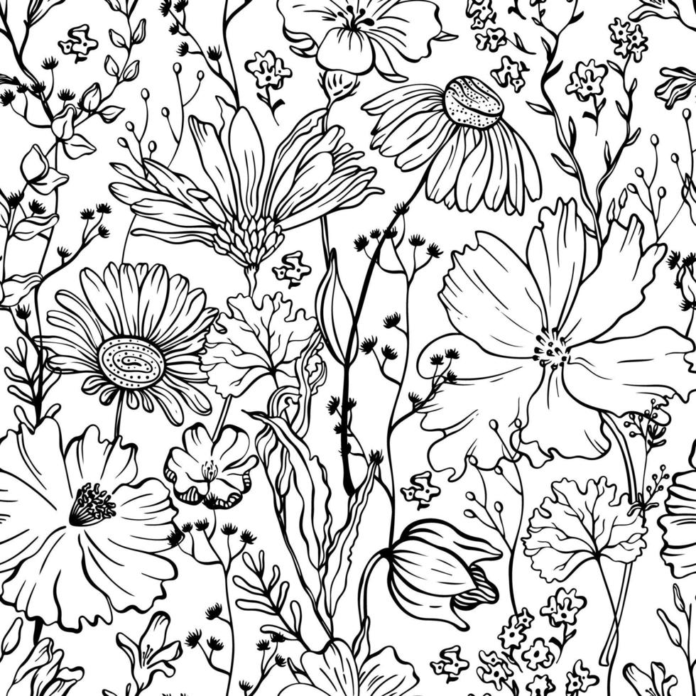 motif floral sans couture avec des fleurs de ligne sur fond blanc. fond vintage botanique. fleurs en fleurs vecteur