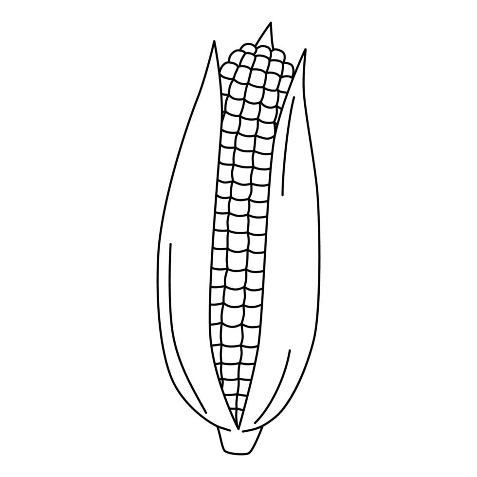 page de coloriage d'oreille de maïs de dessin animé. illustration vectorielle de maïs mûr. Épi de maïs noir et blanc pour cahier de coloriage vecteur