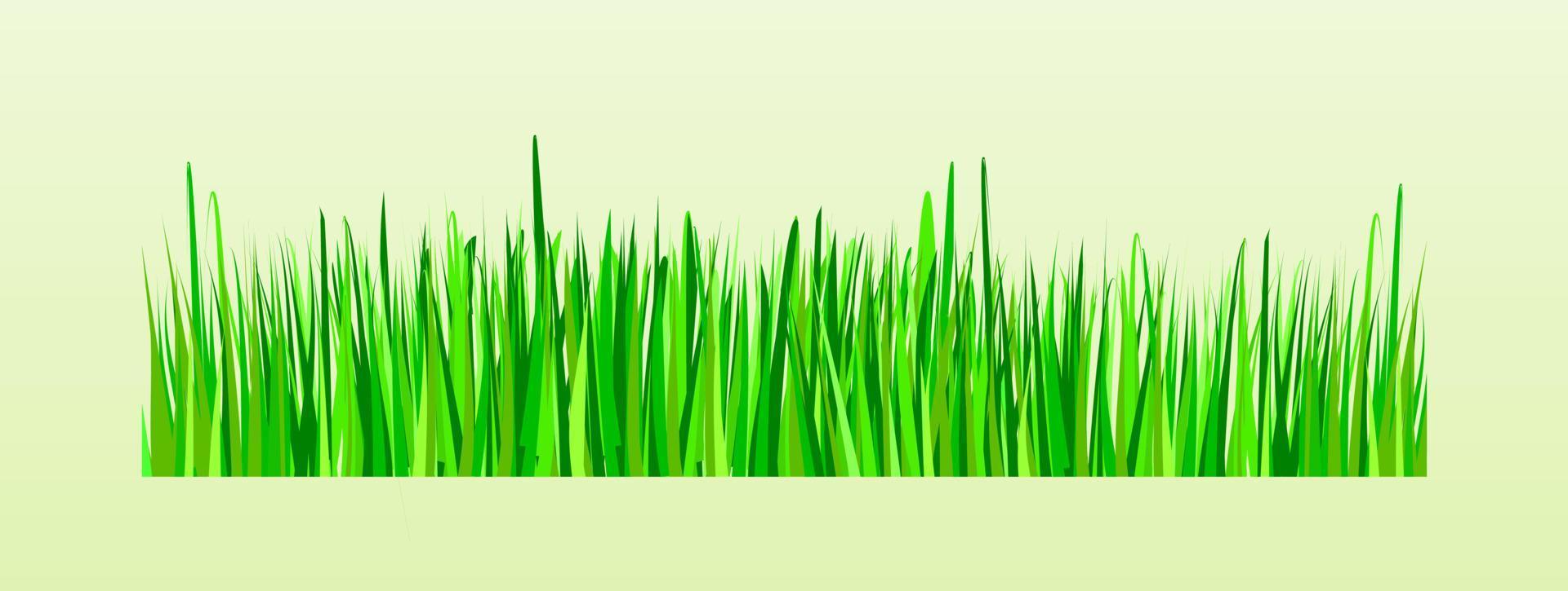 illustration transparente de vecteur d'herbe pour l'affiche ou l'élément graphique de botanique infographique