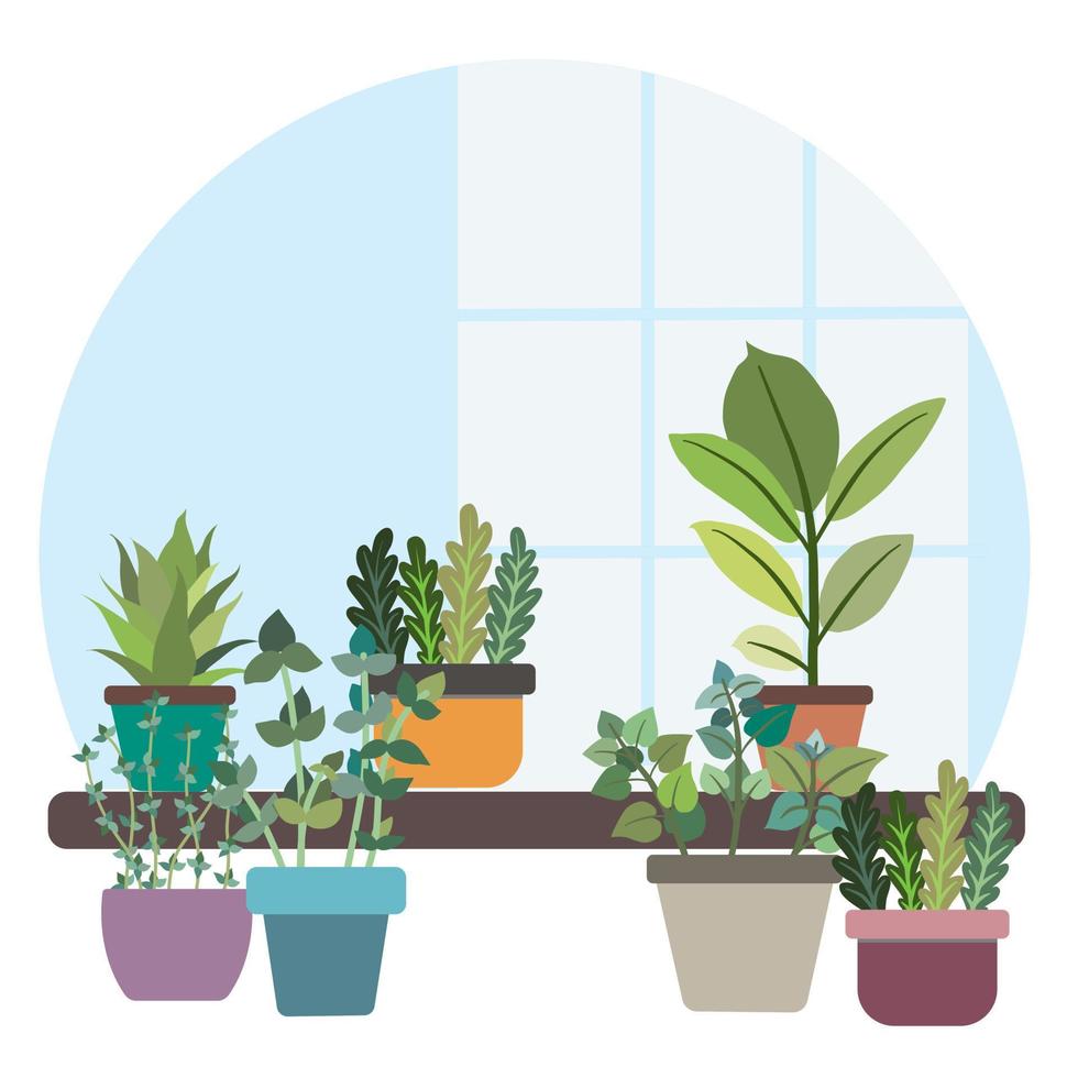un petit jardin intérieur montre de nombreux types de pots, contenants pour de nombreux types d'arbres, d'herbes et de légumes. image de style vecteur plat.