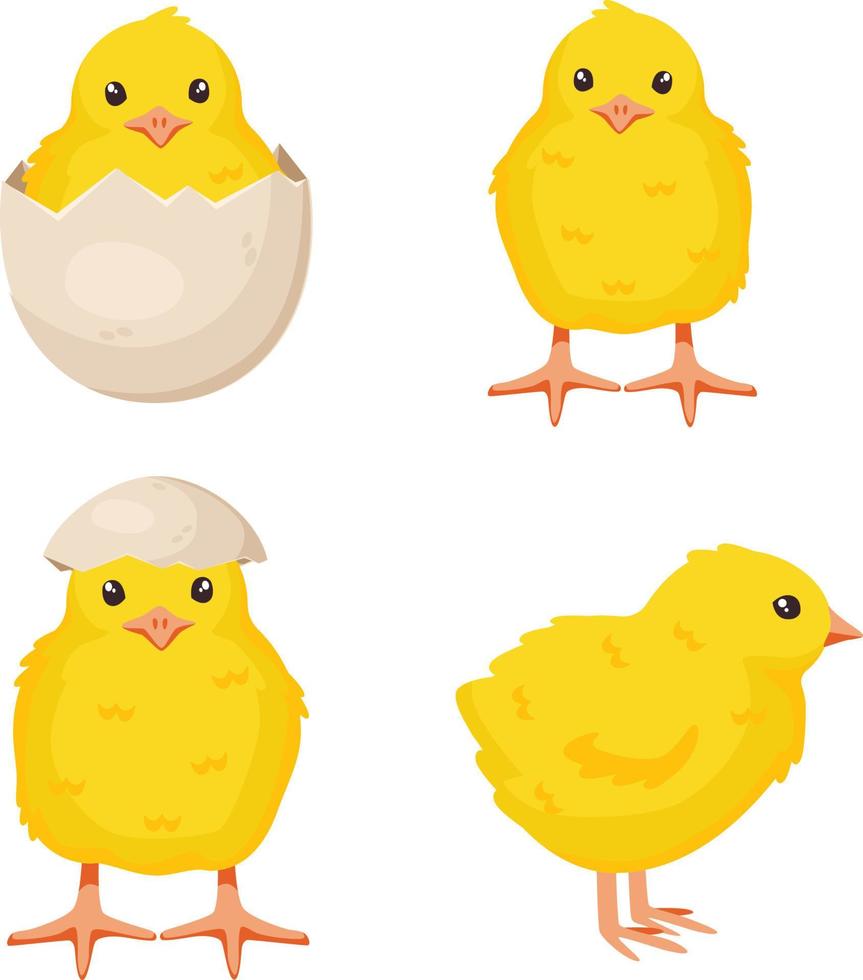 ensemble de mignons bébés poulets dans différentes poses pour la conception de pâques isolés sur fond blanc vecteur