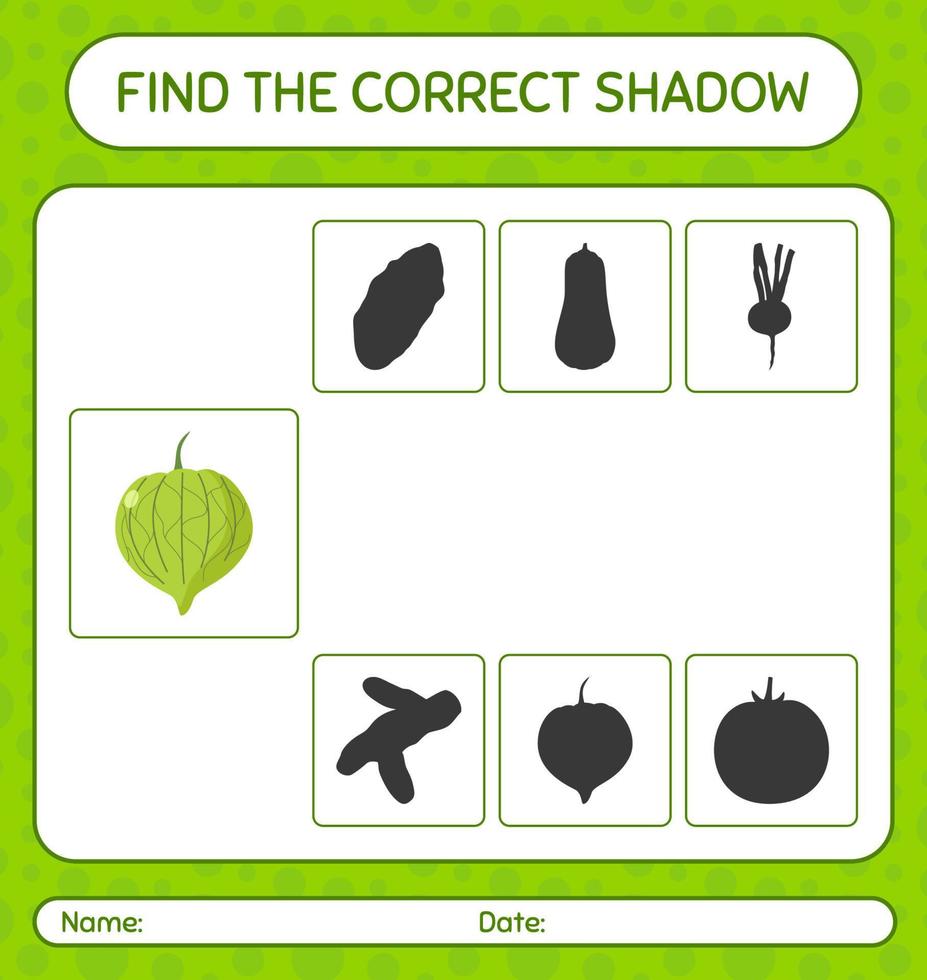 trouver le bon jeu d'ombres avec tomatillo. feuille de travail pour les enfants d'âge préscolaire, feuille d'activité pour enfants vecteur