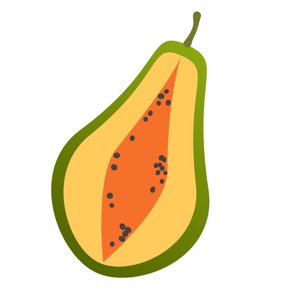 papaye aux fruits exotiques. vecteur