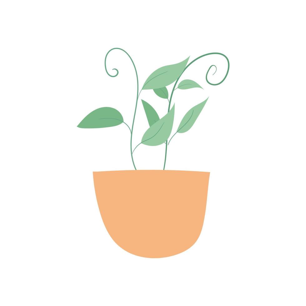 illustration d'une plante d'intérieur avec un style plat vecteur