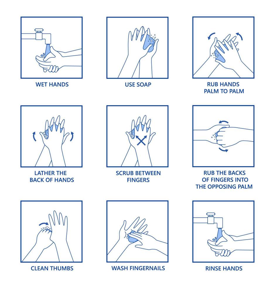 comment se laver les mains vecteur