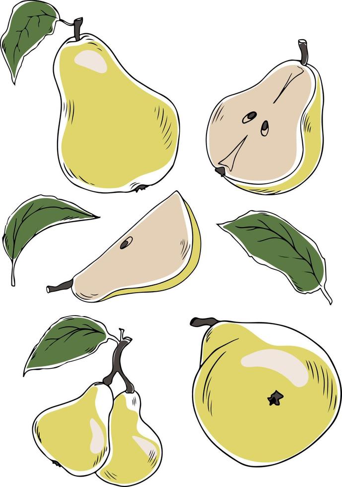 ensemble vectoriel de demi coloré, tranche et segment de poire jaune juteuse. poires fraîches de dessin animé sur fond blanc.